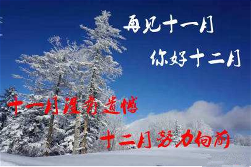 11月再見 ，12月你好——貝朗全自動鋼絲機